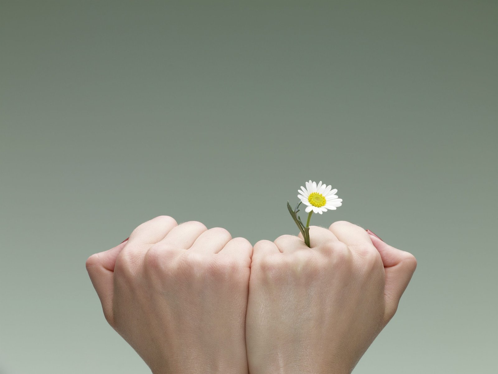 two hands together in a fist with a tower coming out between two of the fingers
